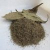 Buy Psychotria viridis (chacruna) leaves are a classic source in ayahuasca brews